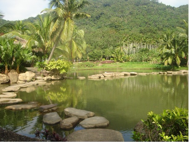 海南保亭呀诺达热带雨林