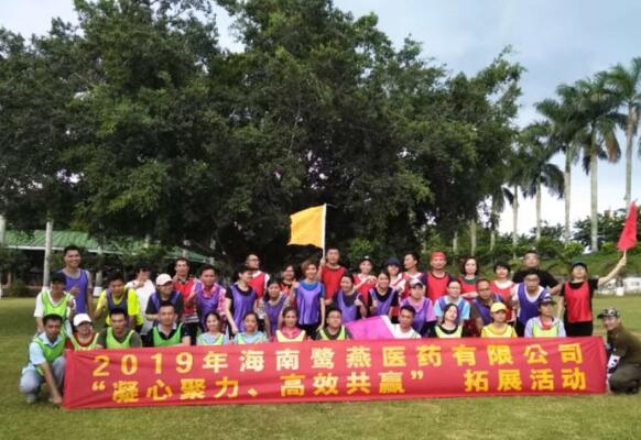 海南鹭燕医药有限公司“凝心聚力、高效共赢